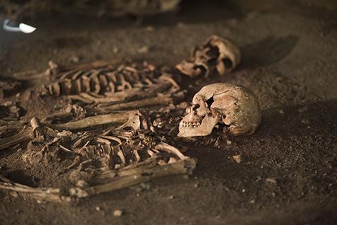 Vedbækfundene på Gl. Holtegaard rummer grave med skeletter fra Maglemosen.